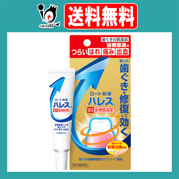 他サイト： 【第3類医薬品】ハレス口内薬 15g【ロート製薬】【メール便】の商品画像