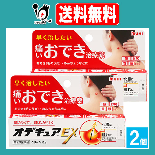 他サイト： 【第2類医薬品】オデキュアEX 12g×2個セット【池田模範堂】早く治したい痛いおでき治療薬 膿が出て、腫れが引く 化膿性皮ふ疾の商品画像