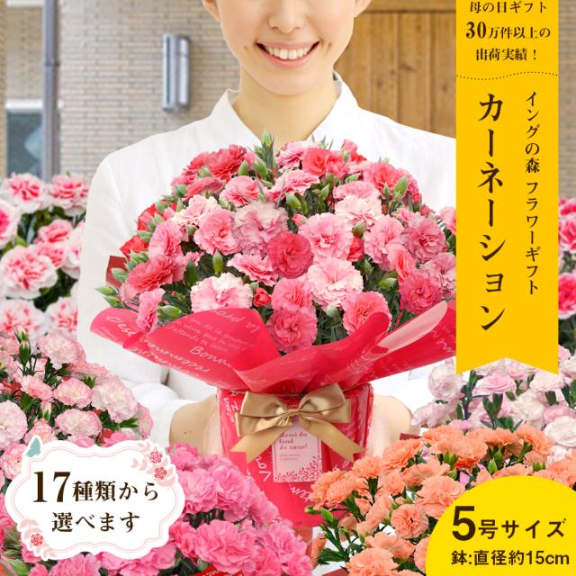 生花 Amazon 楽天 ヤフー等の通販価格比較 最安値 Com