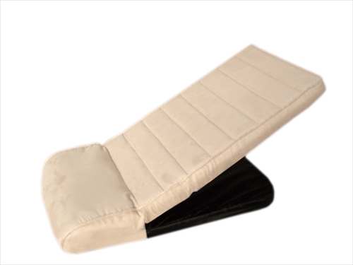 他サイト： 明和グラビア【ペット用品】ペットスロープ PS−02アイボリー P-4977932163638の商品画像