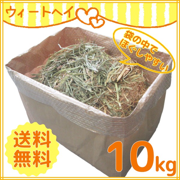 1683円 【51%OFF!】 手まき種子 センチピードグラス配合 2kg 10平米分