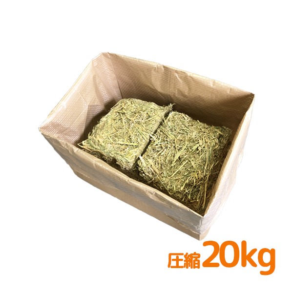 公式 キューサイ じゃばら習慣 7.62g 254mg 30粒 約30日分 国産 じゃばら 健康食品 サプリ ナリルチン ムズムズ 北山村 ：  Amazon・楽天・ヤフー等の通販価格比較 [最安値.com]