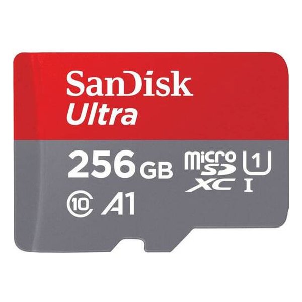他サイト： SANDISK サンディスクmicroSDXC 256GB SDSQUAC-256G-GN6MN(2641906)送料無料の商品画像