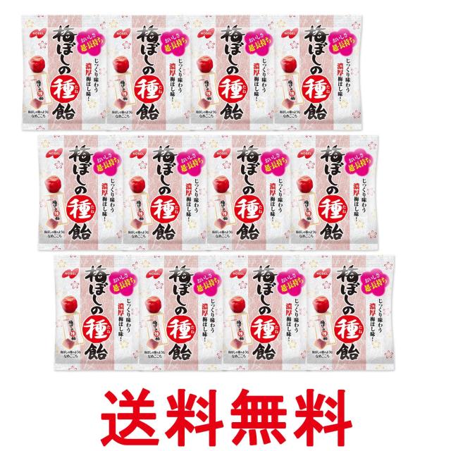 他サイト： 12個セット ノーベル 梅ぼしの種飴 キャンディ お菓子 30g 送料無料の商品画像