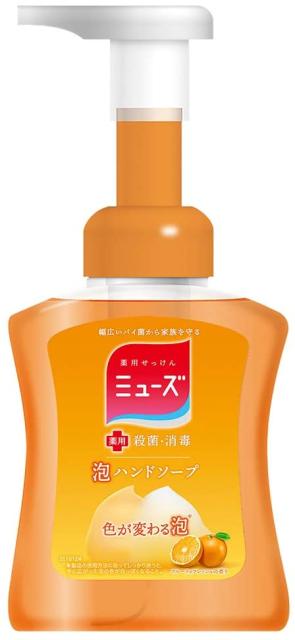 薬用せっけんミューズ 泡ハンドソープ本体 フルーティフレッシュの香り 250ml 殺菌 消毒の通販はau Pay マーケット サンナチュレ 商品ロットナンバー