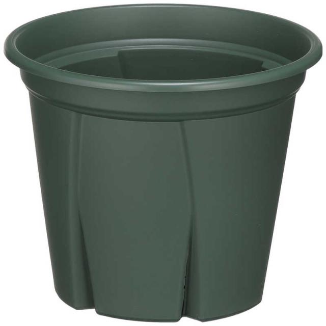 他サイト： アップルウェアー 根っこつよし 7号 グリーン ネッコツヨシ7ゴウの商品画像