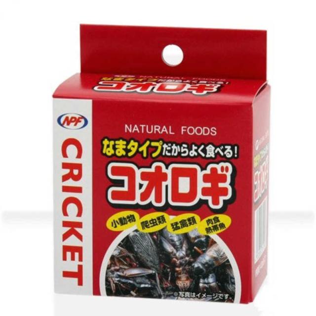 他サイト： ナチュラルペットフーズ コオロギ コオロギ(缶入り) 40g の商品画像
