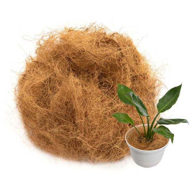 他サイト： アストロ ココヤシファイバー 100g 624-02の商品画像