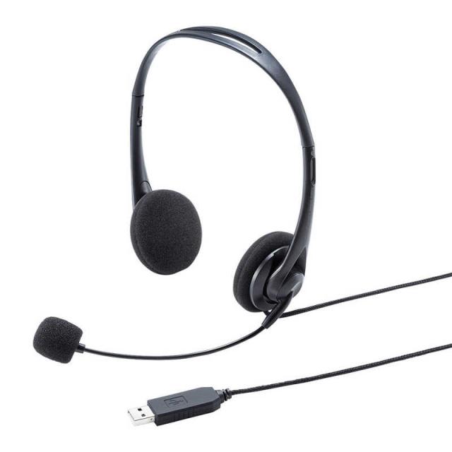 他サイト： サンワサプライ ヘッドセット [両耳 /ヘッドバンドタイプ]  MM-HSU09BKの商品画像