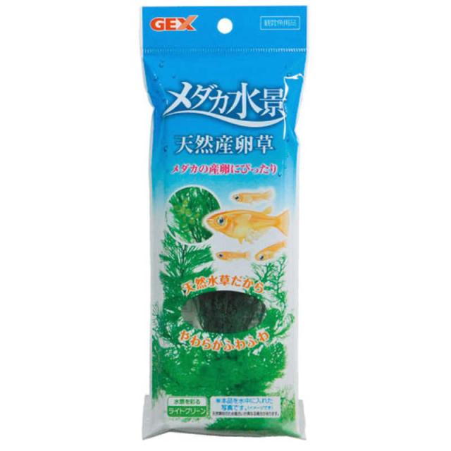 他サイト： ジェックス メダカ水景 天然産卵草 の商品画像