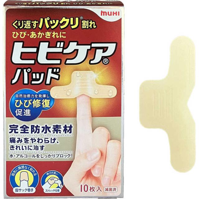 他サイト： 池田模範堂 10枚 の商品画像