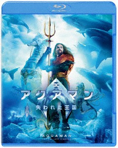 いつも2人で DVD FXBF-1084 ： 通販・価格比較 [最安値.com]