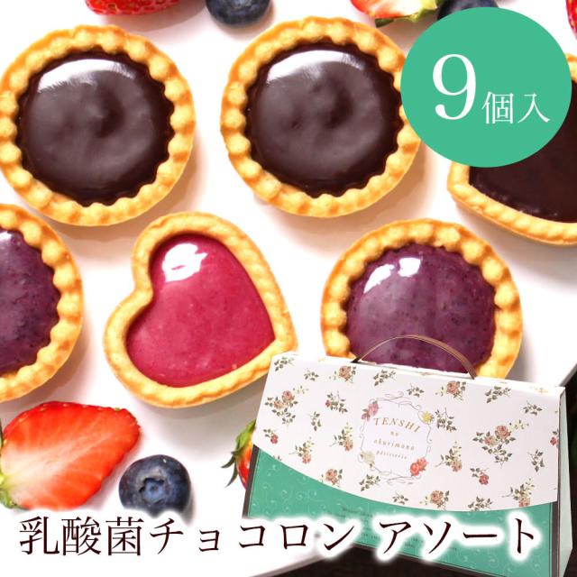 プチギフト お菓子 退職 引っ越し 挨拶 お礼 乳酸菌チョコロン アソート9個入 チョコ スイーツ 誕生日プレゼント 内祝い かわいい おしの通販はau Pay マーケット パティスリー天使のおくりもの 商品ロットナンバー