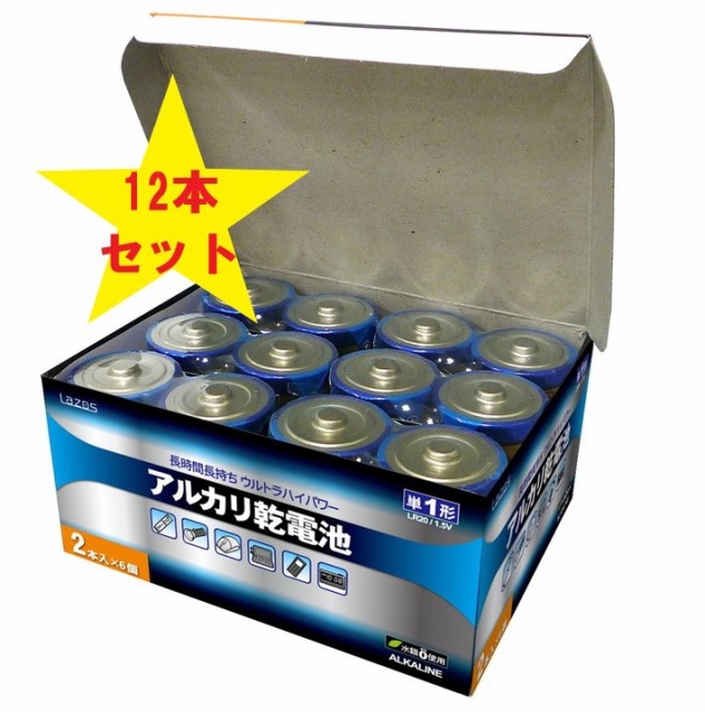 アルカリ乾電池 単6電池 6本入 合計12本 2パックセット ヒラキ