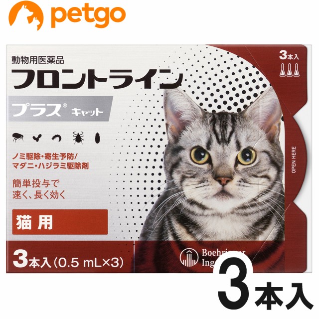  ワンクリーン 犬猫用 15mL×2個セット メール便送料無料