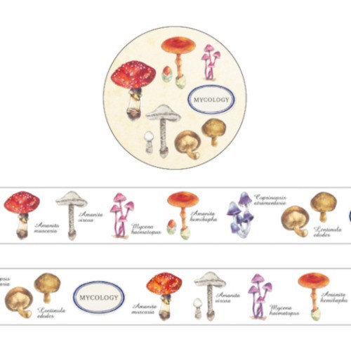 マスキングテープ Study Holic 15mm マステ 菌類学 Decoテープ 図鑑風 グッズ メール便可の通販はau Pay マーケット シネマコレクション 5400円以上で送料無料