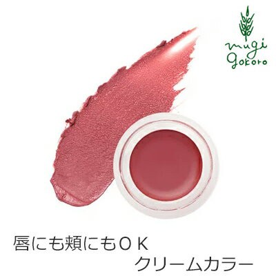 口紅 チーク 無添加 Rmsビューティー Rms Beauty リップチーク 5ml 購入金額別特典あり オーガニック 送料無料 正規品 カラーリップ アーの通販はau Pay マーケット オーガニック健康生活 むぎごころ