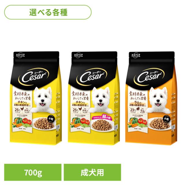 他サイト： ドッグフード Cesar シーザードライ 成犬用 4種の農園野菜入り 700g CSR91 マースジャパンリミテッド 犬 ドライの商品画像
