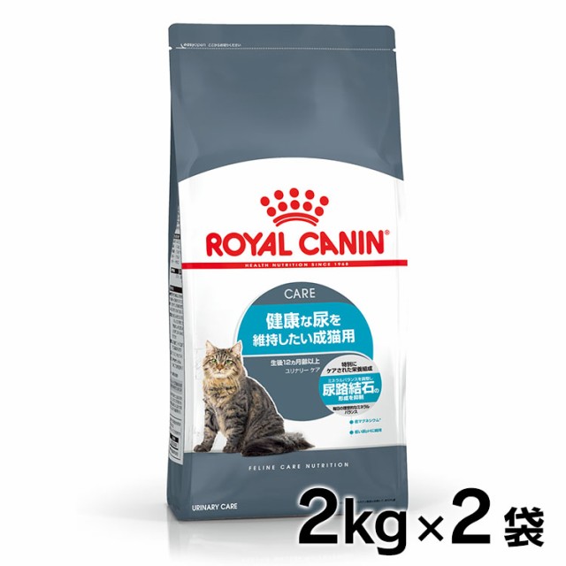 ファッション通販 キャット 日本全薬工業 あすつく ポイント2倍 プロデン 40g×１