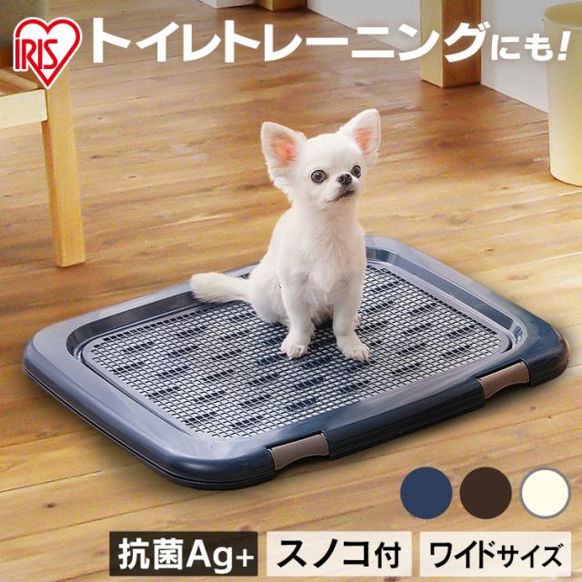 他サイト： フチもれしにくいトレーニングペットトレー FTT-635 全5色 ペットトレー トイレトレー トイレ 犬 いぬ イヌ ペット ケの商品画像