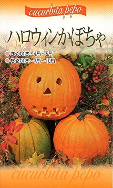 種子 ハロウィンかぼちゃ 福花園種苗のタネの通販はau Pay マーケット Gardener S Shop Ivy 商品ロットナンバー