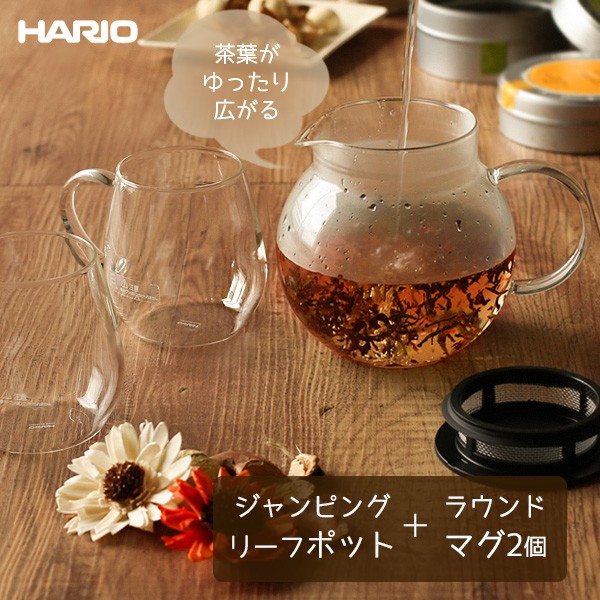 ガラスポット ティーセット IH対応 紅茶 手吹き 透明急須 304