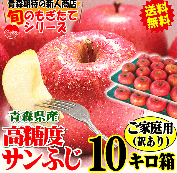 oגIX  10kg N[ xT...