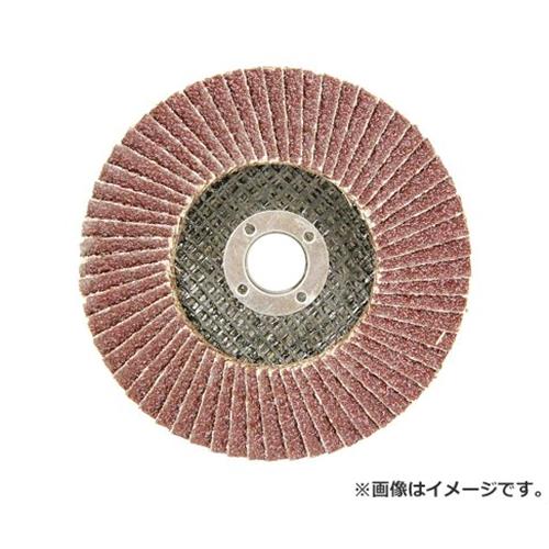 他サイト： 【メール便】E-Value ペーパーサンダー 100x15mm #100の商品画像