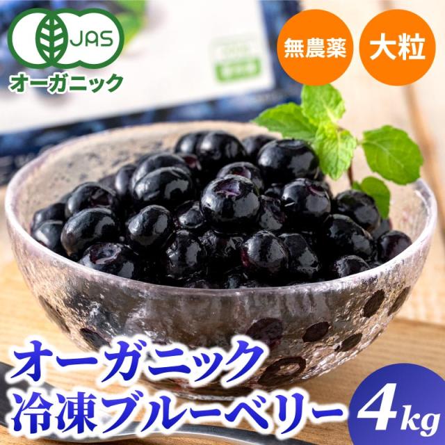 フルッタフルッタの冷凍アサイー4袋入り5個 合計20袋 2kg まるっこく