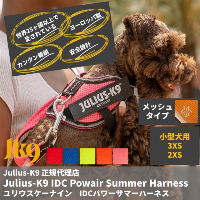 5号 プレミアム BUDDY BELTS（バディーベルト） ハーネス レザー めがねハーネス BuddyBelt やすっぽい 正規直輸入