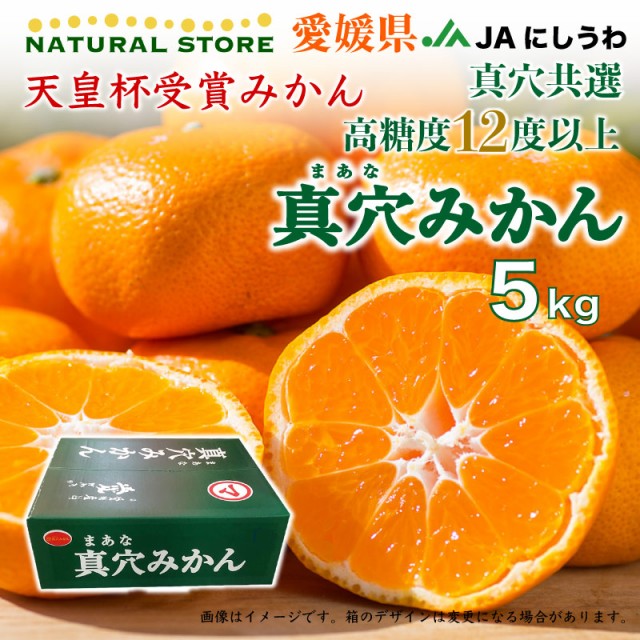 予約 11月5日から11月30日のご納品 真穴みかん 5kg マルマみかん 愛媛県 ギフト 冬ギフト お歳暮 御歳暮の通販はau Pay マーケット サロンドフルーツ 日本橋 商品ロットナンバー