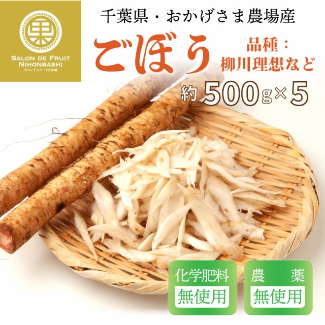 最大92%OFFクーポン 冷凍食品 Delcy 九州産さといも 200ｇ×5個 terahaku.jp