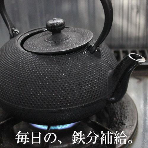 南部鉄器 壱鋳堂 鉄瓶 刷毛目 hakeme 1L W18 D15 H20 cm ： 通販・価格
