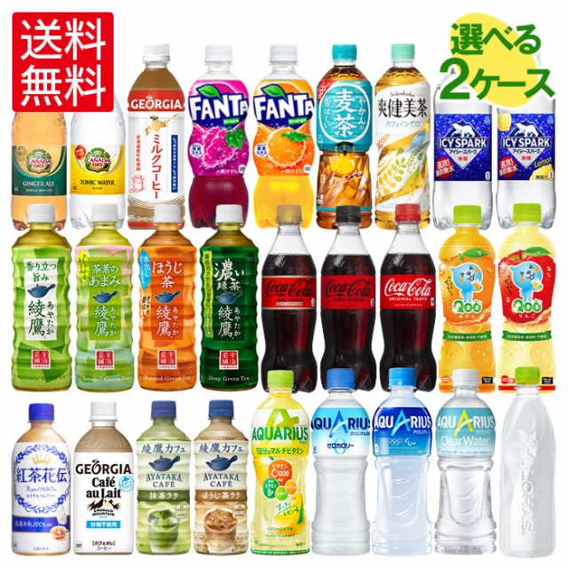 2021年激安 〔炭酸飲料〕 ペットボトル ポッカサッポロ 48本 500ml まとめ買い 24