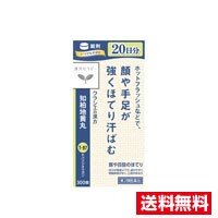 他サイト： □送料無料□【第2類医薬品】JPS知柏地黄丸料エキス錠N(300錠)クラシエの商品画像