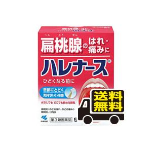 他サイト： ☆メール便・送料無料☆【第3類医薬品】ハレナース(9包) 代引き不可(otc-02281-4987072024324)の商品画像