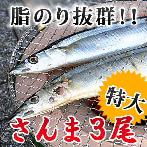 さんま サンマ 秋刀魚 生 甘塩 約150g 3尾 冷凍食品 お弁当 弁当 食品 食材 おかず 惣菜 業務用 家庭用 国産の通販はau Pay マーケット ｆ ｂクリエイト