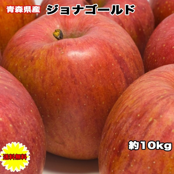  󂠂 10Kg X WiS[h 10k...