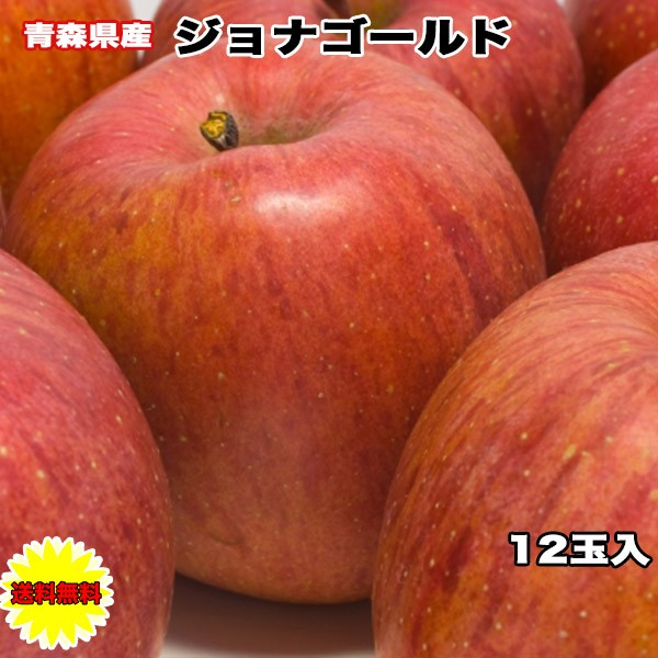  󂠂 12ʓ X WiS[h 12...