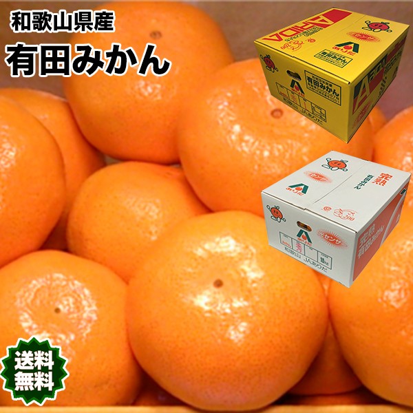 みかん 5kg 小玉 有田 和歌山県産 有田 みかん 赤秀 Sサイズ 5kg 送料無料 贈答用 ギフト みかん 5Kg 和歌山 有田みかん お歳暮  ギフト の通販はau PAY マーケット - 大和屋 旬果庵 au PAY マーケット店｜商品ロットナンバー：472312466