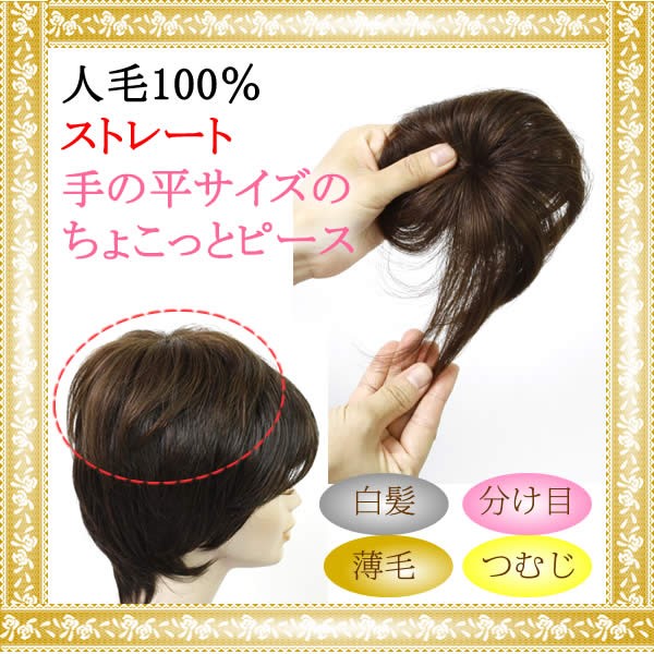 ウィッグ ヘアピース 人毛100 円形脱毛症 部分ウィッグ かつら 送料無料 増毛 白髪隠し トップ 5009a Straightの通販はau Pay マーケット ウィッグのルネス Au Pay マーケット店 商品ロットナンバー