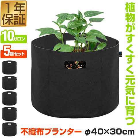 ケター セコアプランター KETER Sequoia planter M ： 通販・価格比較