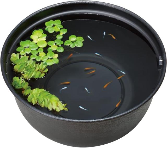 他サイト： クーポン配布中!! ジェックスメダカ元気メダカのための飼育鉢黒42042cm黒の商品画像