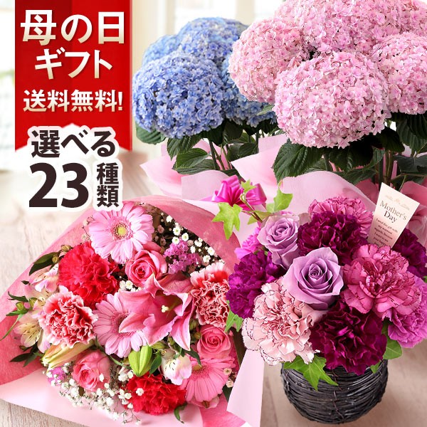 母の日 早割 10 Off プレゼント ギフト 花 鉢植え アジサイ カーネーション 寄せ鉢 アレンジ 花束 スタンディングブーケ バラ 薔薇 ユリの通販はau Wowma ワウマ Bunbun Bee 商品ロットナンバー