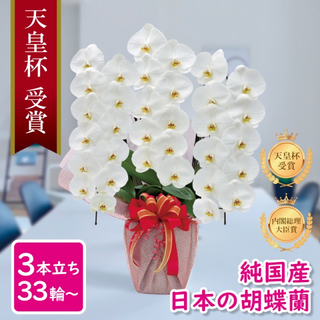 その他花・ガーデニング ： Amazon・楽天・ヤフー等の通販価格比較 [最安値.com]