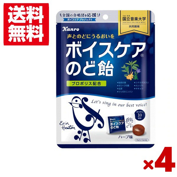 どうぶつとフルーツのキャンディ 300g 個包装 飴 あめ 約70粒 クリックポスト フルーツ味 アニマル 動物 ミニラブリー ：  Amazon・楽天・ヤフー等の通販価格比較 [最安値.com]