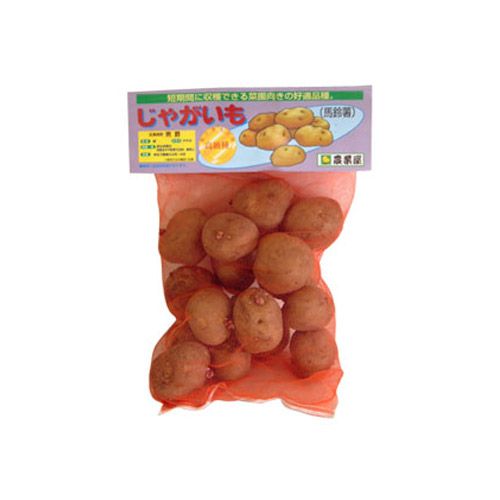 じゃがいも 馬鈴薯 高級男爵 種芋 種いも 2kg入り 予約販売 の通販はau Pay マーケット 菜園くらぶ