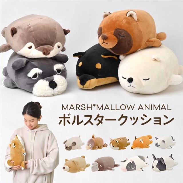 サンレモン ひざたぬきM P-6282 ： 通販・価格比較 [最安値.com]