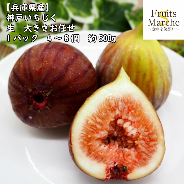 クール便送料無料 兵庫県産 神戸いちじく 生 大きさお任せ 1パック 4 8個 約500g 北海道沖縄別途送料加算 イチジク 無花果の通販はau Pay マーケット 菜s フルーツマルシェ 商品ロットナンバー