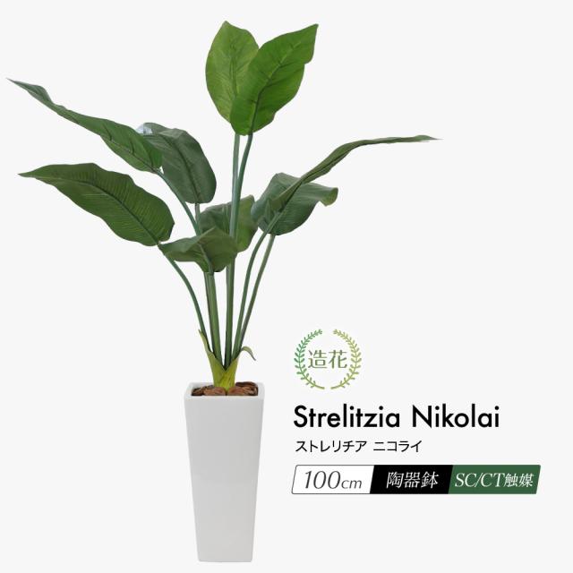 人工観葉植物 フェイクグリーン 観葉植物 造花 光触媒 ストレリチア ニコライ 100cm 鉢植 フェイク グリーン インテリア おしゃれ Ct触の通販はau Pay マーケット 神戸花物語